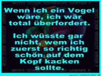 Wenn ich ein Vogel wre