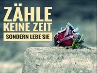zaehle keine zeit