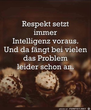 Respekt-setzt-immer-Intelligenz-voraus.jpg auf www.funpot.net