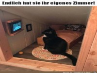 Eigenes Zimmer f�r die Katze