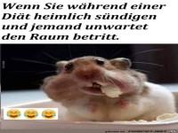 W�hrend der Di�t ges�ndigt