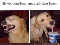 Vor und nach dem Essen