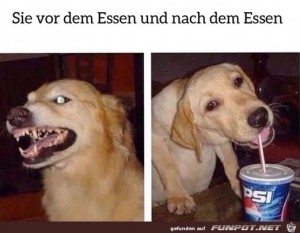 Vor-und-nach-dem-Essen.jpg auf www.funpot.net