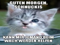Guten Morgen