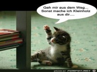 wie angsteinfl��end