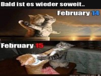 Bald ist es wieder soweit