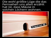 Die groe Lge ber Muselcher