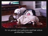 Neuzugang im Freundeskreis