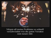 Neujahrsvors�tze: Blitzschnell verduftet!