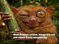 Ein�ugiger Partyheld!
