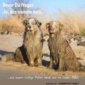 Das-musste-einfach-sein.jpg von Nele68