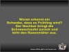 weiter