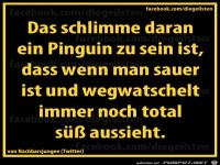 diegeilsten Pinguin
