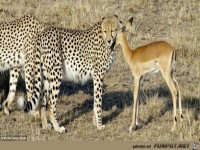 Naamloze bijlage 000224