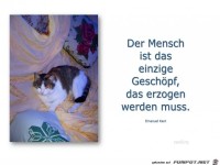 Der Mensch ist