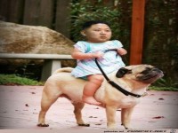 22ee0600a9c1c6a23467