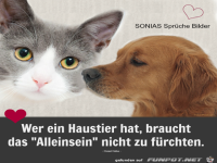 Wer ein Haustier hat