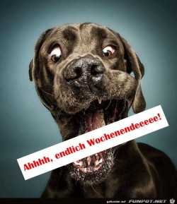 Wochenende.jpg auf www.funpot.net