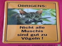 �brigens 