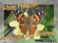 Schne Pfingsten
