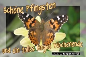 Schöne-Pfingsten.jpg auf www.funpot.net