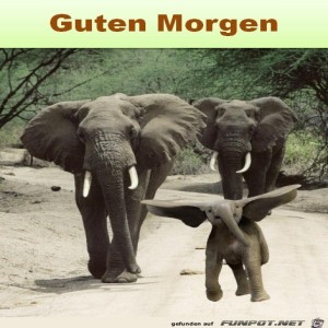 Begr&uuml;&szlig;ungsbild