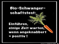 Bio - Schwangerschaftstest