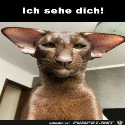 Ich-sehe-dich.jpg von Alina