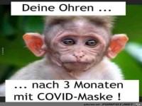 Deine Ohren....
