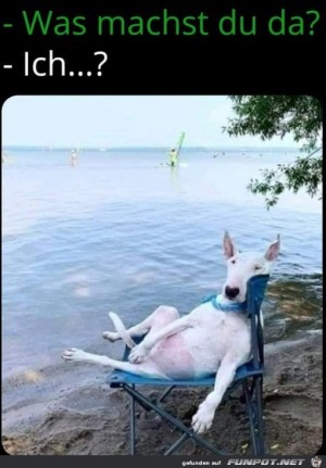 Was-machst-du?.jpg auf www.funpot.net