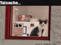 Tierische �berwachungskamera