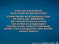 Nemo wird 20