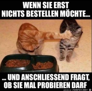 Bleib-weg-von-meinem-Essen.jpg auf www.funpot.net