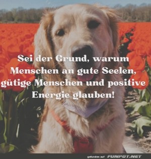 Sei-du-der-Grund.jpg auf www.funpot.net