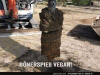Veganer D�nerspie�