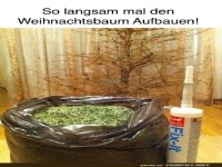 Langsam sollte man anfangen