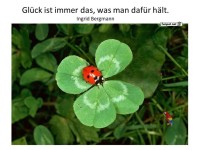 Gl�ck ist immer das