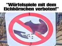 Spiele mit dem Eichhrnchen verboten