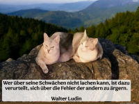 wer ber seine schwchen