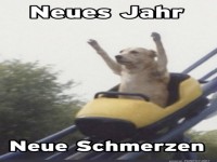 Ein Hund in der Achterbahn des Lebens