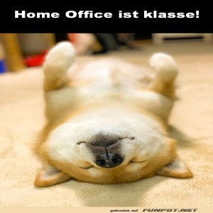 fun-Bild: Home Office ist klasse
