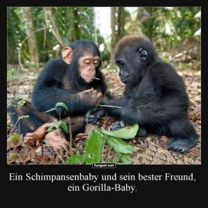 Affenfreundschaft-beim-Blätter-Tee.jpg von Josie-96