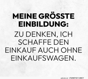fun-Bild: Optimist beim Einkaufen: Ein Wagen wird &uuml;berbewertet.