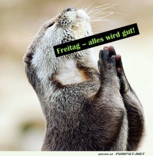 Ein-Otter-im-Freitagsgebet.jpg auf www.funpot.net