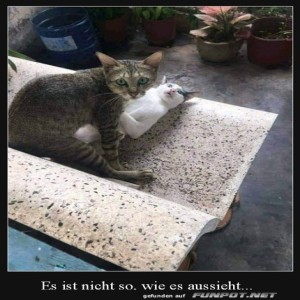 Es-ist-anders-als-es-aussieht.jpg von Mareike-21