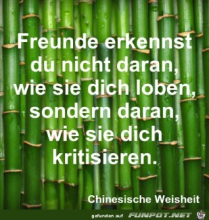 freunde-erkennst-du.jpg auf www.funpot.net