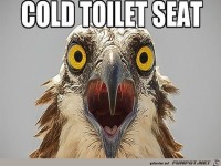 kalter Toilettensitz