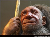 hat wohl harten Stuhlgang