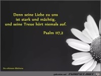 Psalm 117 2