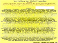 Verhalten